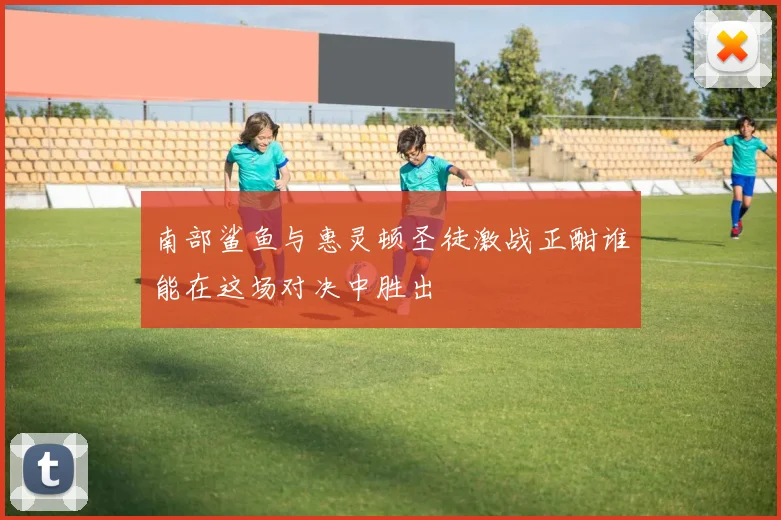 南部鲨鱼与惠灵顿圣徒激战正酣谁能在这场对决中胜出