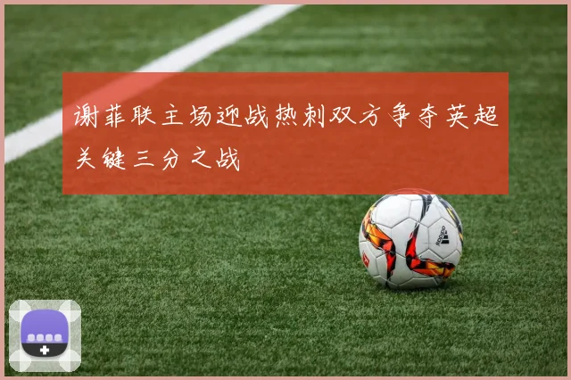 谢菲联主场迎战热刺双方争夺英超关键三分之战