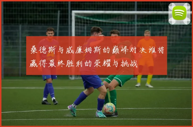 桑德斯与威廉姆斯的巅峰对决谁将赢得最终胜利的荣耀与挑战