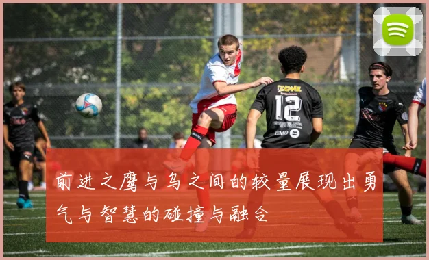 前进之鹰与乌之间的较量展现出勇气与智慧的碰撞与融合