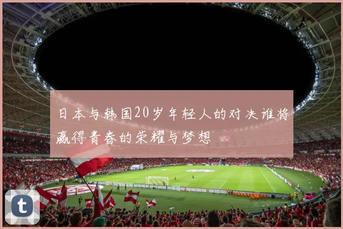 日本与韩国20岁年轻人的对决谁将赢得青春的荣耀与梦想