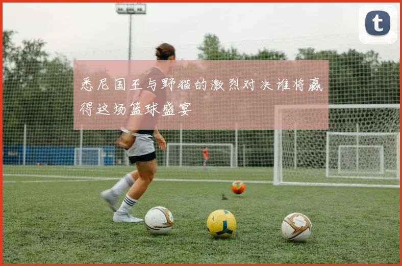 悉尼国王与野猫的激烈对决谁将赢得这场篮球盛宴